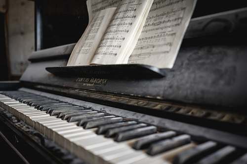 svalbard und jan mayen black upright piano piano